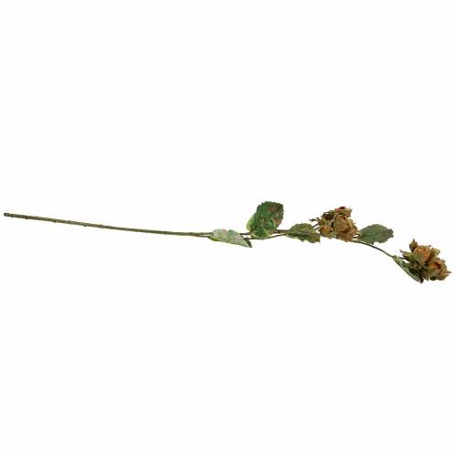 Floristik24 Branche de noisette verte / brune 84cm