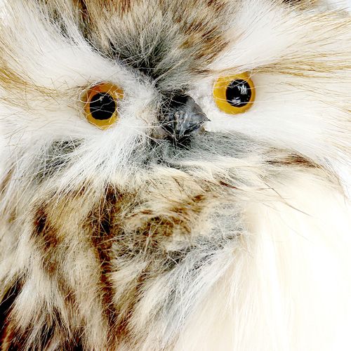Floristik24 Hibou sur tige pour l’automne 13 cm L. 50 cm
