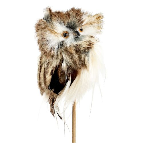 Floristik24 Hibou sur tige pour l’automne 13 cm L. 50 cm