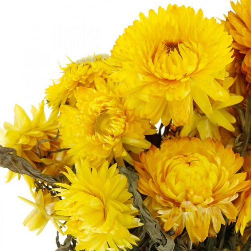 Article Bouquet décoratif de fleurs séchées jaunes Strawflower 75g