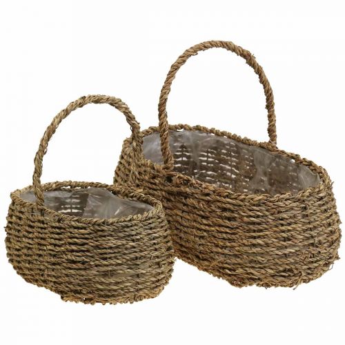 Floristik24 Panier à plantes avec anse panier à fleurs L23/35cm lot de 2