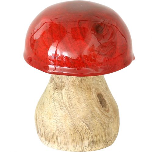 Floristik24 Déco automne champignons déco en bois Champignons en bois rouge H5-7cm 6 pièces