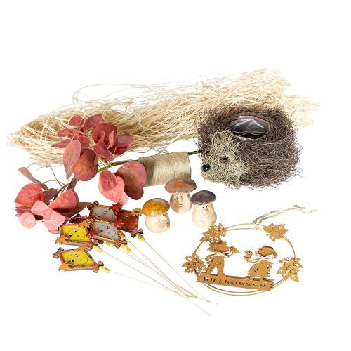 Floristik24 Coffret de décoration d&#39;automne Hérisson Champignons Dragon – Achetez un coffret de décoration pas cher