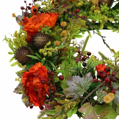 Floristik24 Couronne d'automne graines de pavot, physalis orange Ø36cm