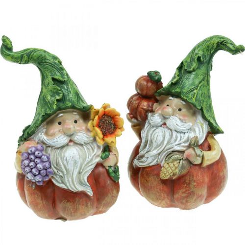 Gnome d&#39;automne décoration citrouille gnome assorti H11.5cm 2pcs