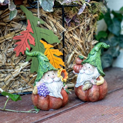 Floristik24 Gnome d&#39;automne décoration citrouille gnome assorti H11.5cm 2pcs