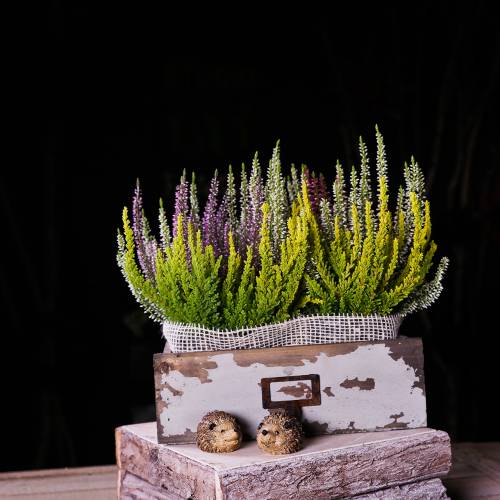 Floristik24 Jardinière tiroir en bois gris antique 27cm x 13cm