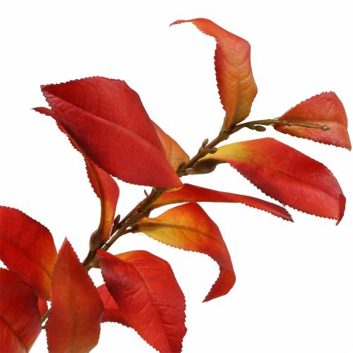 Floristik24 Branche d&#39;automne 72cm