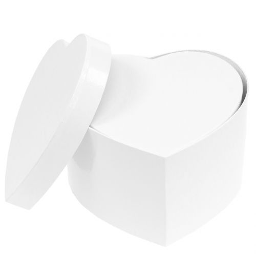 Floristik24 Boîte à fleurs en forme de coeur 18/20cm 2pcs