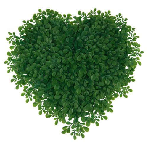 Floristik24 Tapis décoratif artificiel en buis cœur décoratif vert 30,5 cm