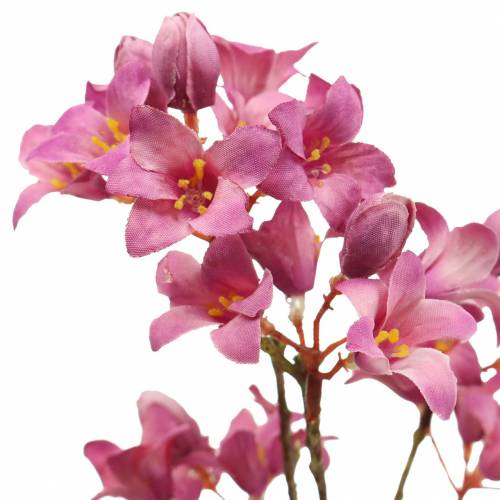 Floristik24 Cloches violettes Heuchera Deco Branche Rose 44cm