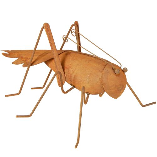 Floristik24 Décoration de jardin en forme de sauterelle Décoration en métal rouillé à poser 26 cm