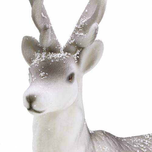 Floristik24 Déco cerf floqué/neigé 39cm
