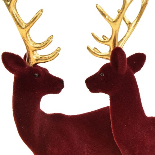 Floristik24 Cerf Déco Renne Veau Bordeaux Doré Floqué 20cm Lot de 2