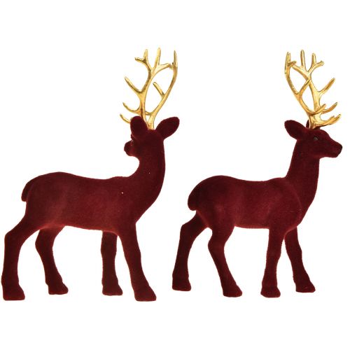 Floristik24 Cerf Déco Renne Veau Bordeaux Doré Floqué 20cm Lot de 2
