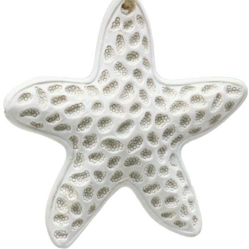 Floristik24 Décoration à accrocher étoile de mer, hippocampe 12cm 3pcs