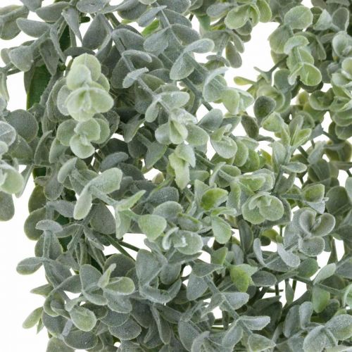 Floristik24 Décoration de mariage couronne d&#39;eucalyptus artificielle Ø25cm