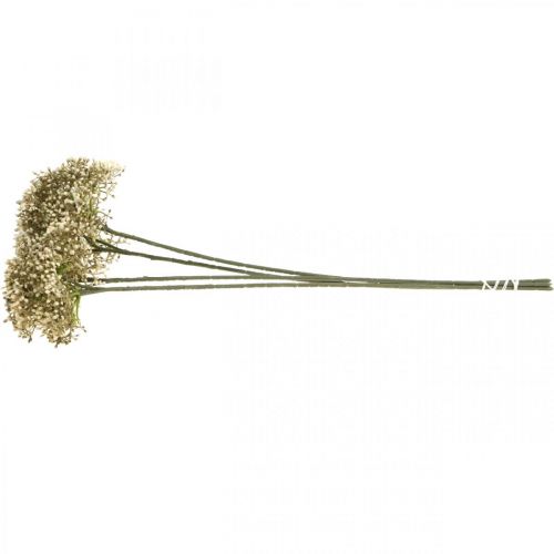 Floristik24 Branche de fleur décorative blanche crème de sureau artificielle 52cm 4pcs