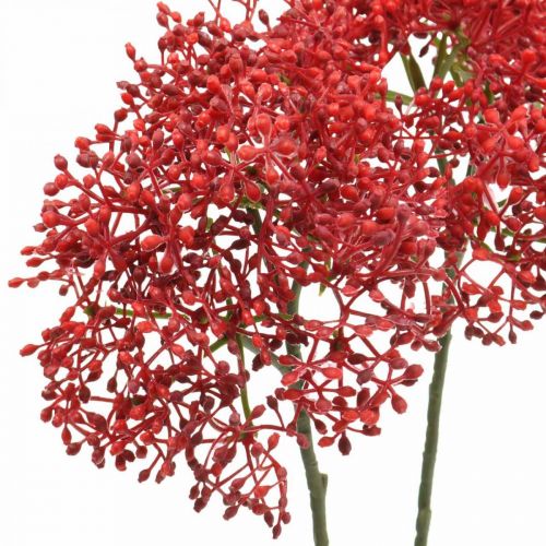 Floristik24 Fleurs artificielles rouges sureau pour bouquet d'automne 52cm 6pcs