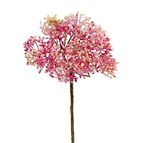 Floristik24 Branche de sureau blanc-rose L. 55 cm 4 p.