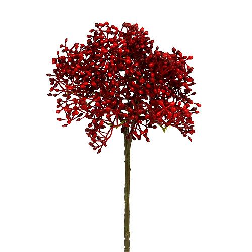 Floristik24 Branche de sureau rouge 55 cm 4 p.