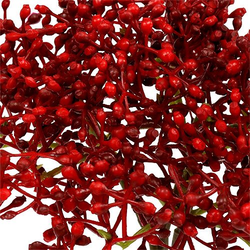 Floristik24 Branche de sureau rouge 55 cm 4 p.