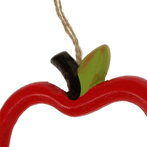 Floristik24 Pomme de crabe à suspendre 17cm 8pcs