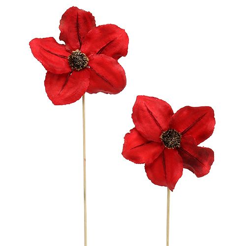 Floristik24 Fleur en bois comme plug rouge Ø9cm - 12cm L45cm 15pcs