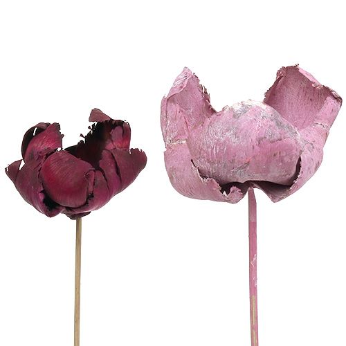 Article Fleur en bois, coupe palmier mix rose-erika 25 pcs