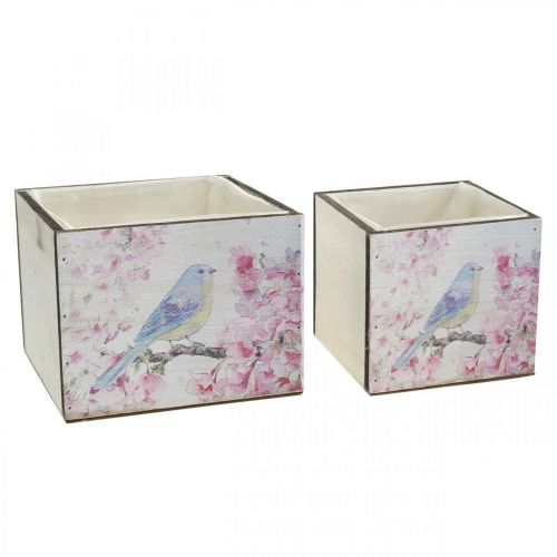 Floristik24 Bacs à plantes avec imprimé oiseau, jardinière, ressort, bac décoratif à planter look vintage L17/15cm H13/11cm lot de 2