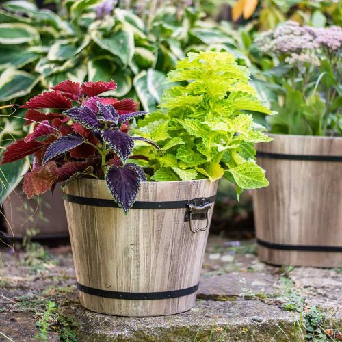 Article Jardinière seau en bois style maison de campagne avec anses Ø30cm