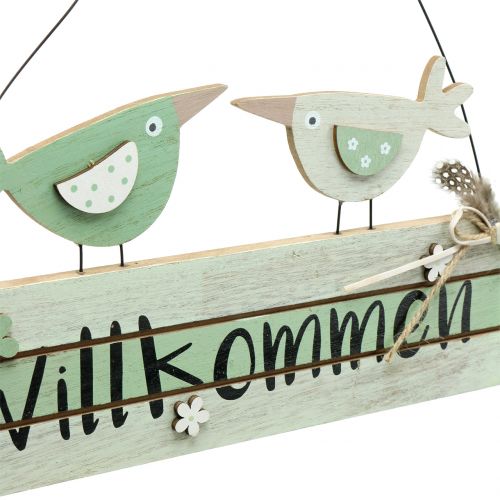 Floristik24 Panneau en bois &quot;Welcome&quot; Vert 29,5cm x 28cm 2pcs