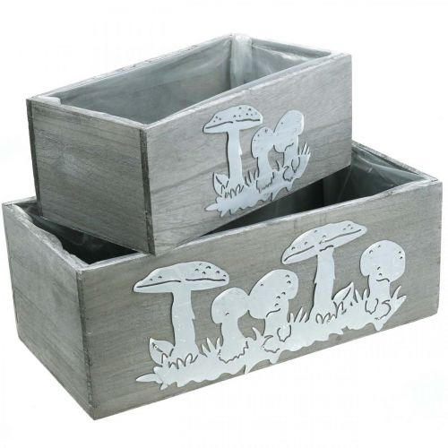 Coffret en bois champignon vénéneux, décorations d&#39;automne, décorations de jardin, bacs à plantes L40/30cm, lot de 2