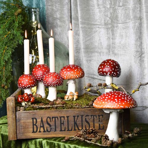Floristik24 Boîte en bois boîte artisanale boîte décorative shabby bois 47×28.5×16.5cm