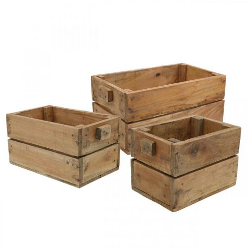 Floristik24 Coffret bois, jardinière, jardinière, set de jardinière naturel L45 / 36 / 27cm H20,5 / 18 / 17cm lot de 3