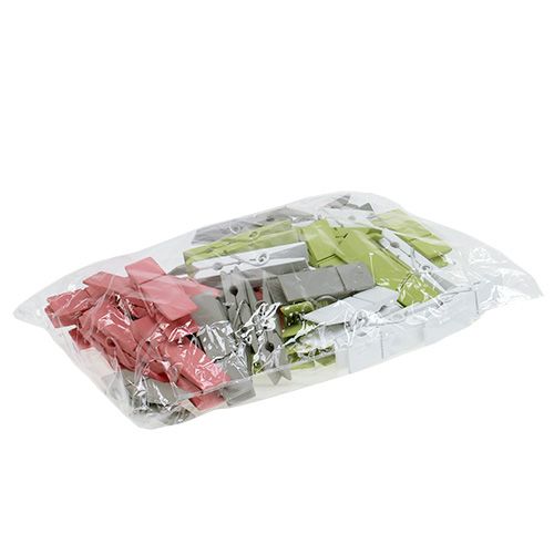 Floristik24 Pinces en bois colorées 7,2 cm 48 pcs