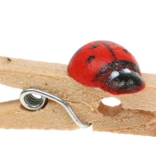 Article Pinces décoratives en bois coccinelles 2,5 cm 180 pcs