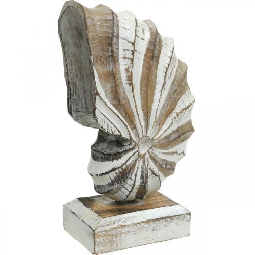 Floristik24 Support coquillage conque en bois déco maritime nature, blanc H28cm