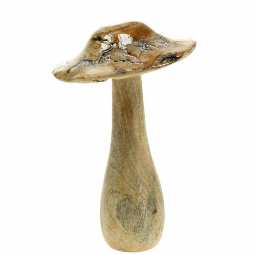 Floristik24 Champignon en bois émaillé naturel / blanc H20cm