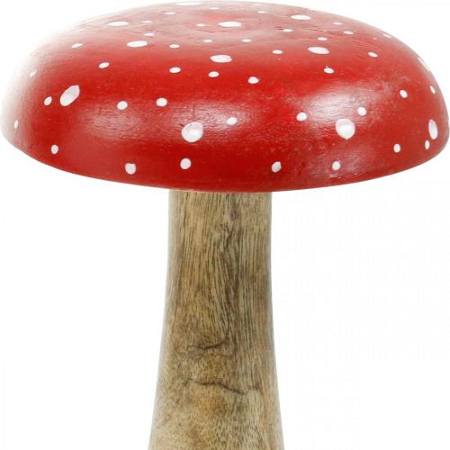 Floristik24 Amanite tue-mouche bois grande décoration automne champignon Ø14cm H24cm