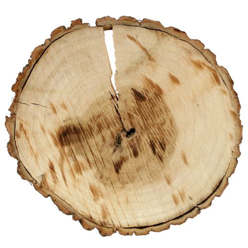 Floristik24 Disque en bois naturel 20cm 2 pcs