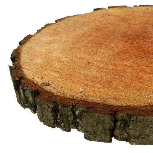 Article Véritable tranche de bois d’aulne Ø 20 - 24 cm