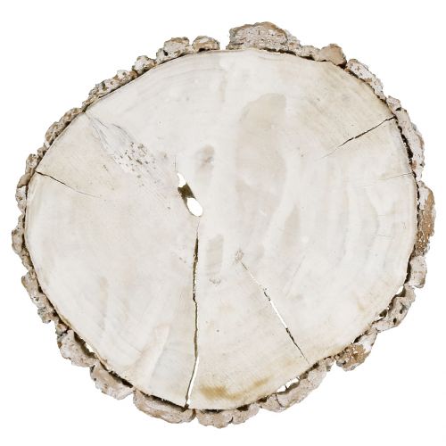 Floristik24 Disque en bois lavé blanc 13cm - 15cm 2pcs