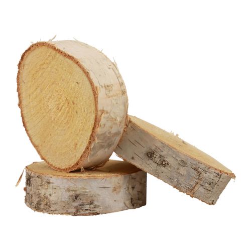 Article Disques en bois décoratifs en bois de bouleau écorce naturelle Ø7-9cm 18 pièces