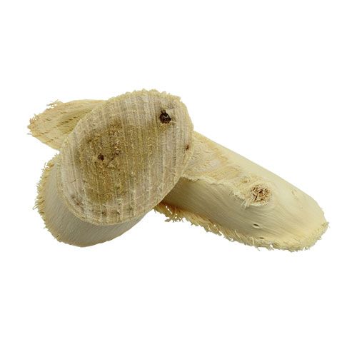 Floristik24 Tranches de bois de mûrier blanchies 500g
