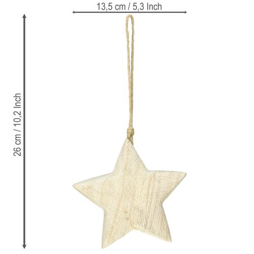 Article Étoile en bois naturel décoration de Noël bois Ø13,5cm