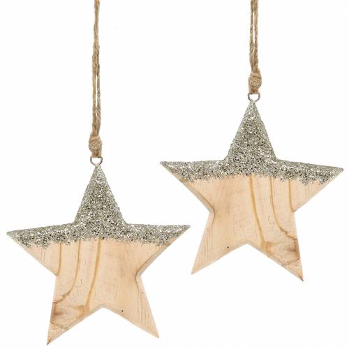 Floristik24 Cintre Décoration Bois Etoile Glitter 14,5cm 2pcs