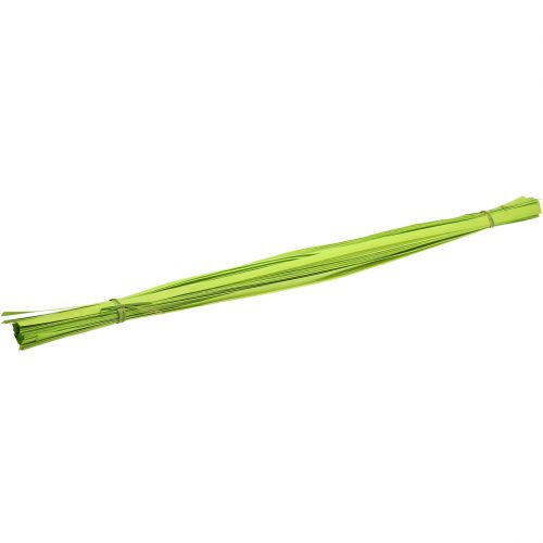 Bandes de bois vert printemps 95cm - 100cm 50 pcs