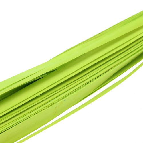 Floristik24 Bandes de bois vert printemps 95cm - 100cm 50 pcs