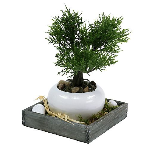 Article Plateau en bois gris 14 cm x 14 cm x 3 cm 5 pièces